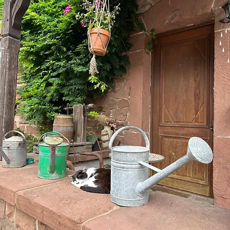 Ferme Mellon Bed & Breakfast Niederbronn-les-Bains